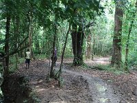 tn 1IMG 0731