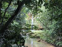 tn 1IMG 0773