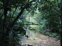 tn 1IMG 0774