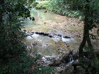 tn 1IMG 0780