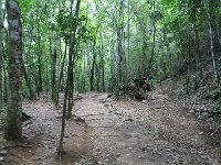 tn 1IMG 0784