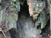 tn 1IMG 0792