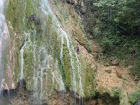 tn 1IMG 0823