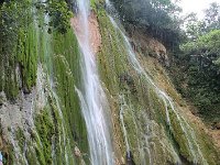 tn 1IMG 0847