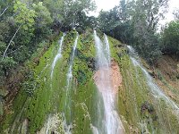 tn 1IMG 0850