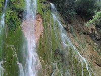 tn 1IMG 0855
