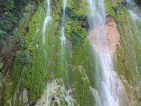 tn 1IMG 0856