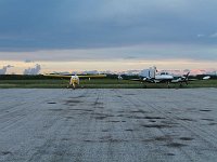 tn 1IMG 0997