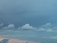 tn 1IMG 1001